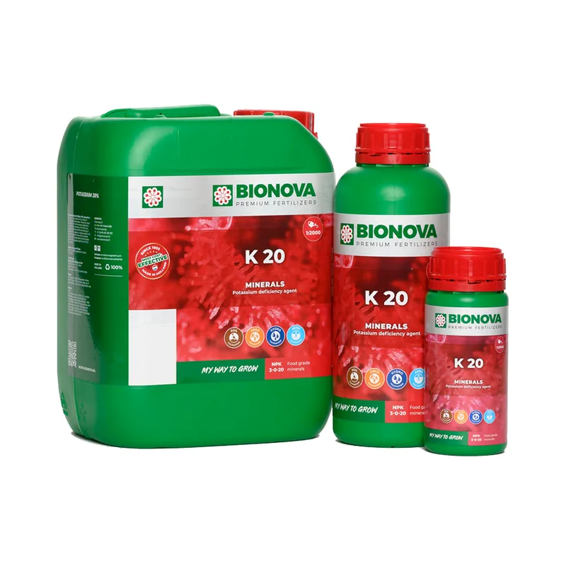 K 20, BioNova