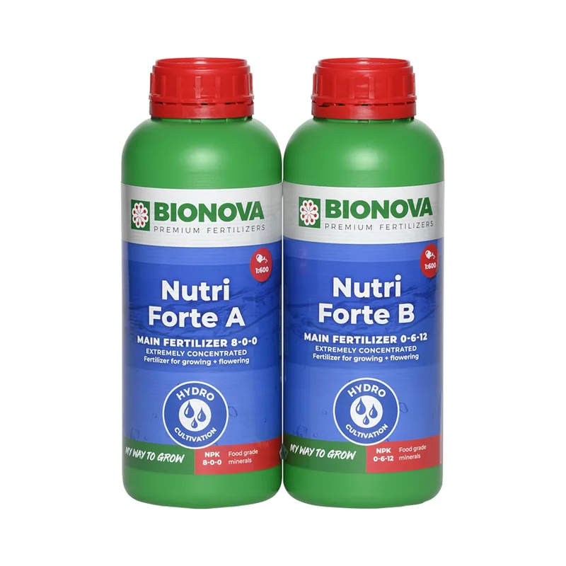 Nutri Forte A + B, BioNova