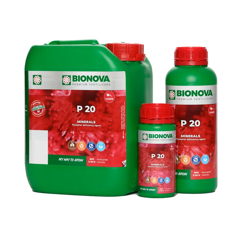 P 20, BioNova