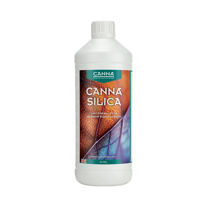 Silica, Canna