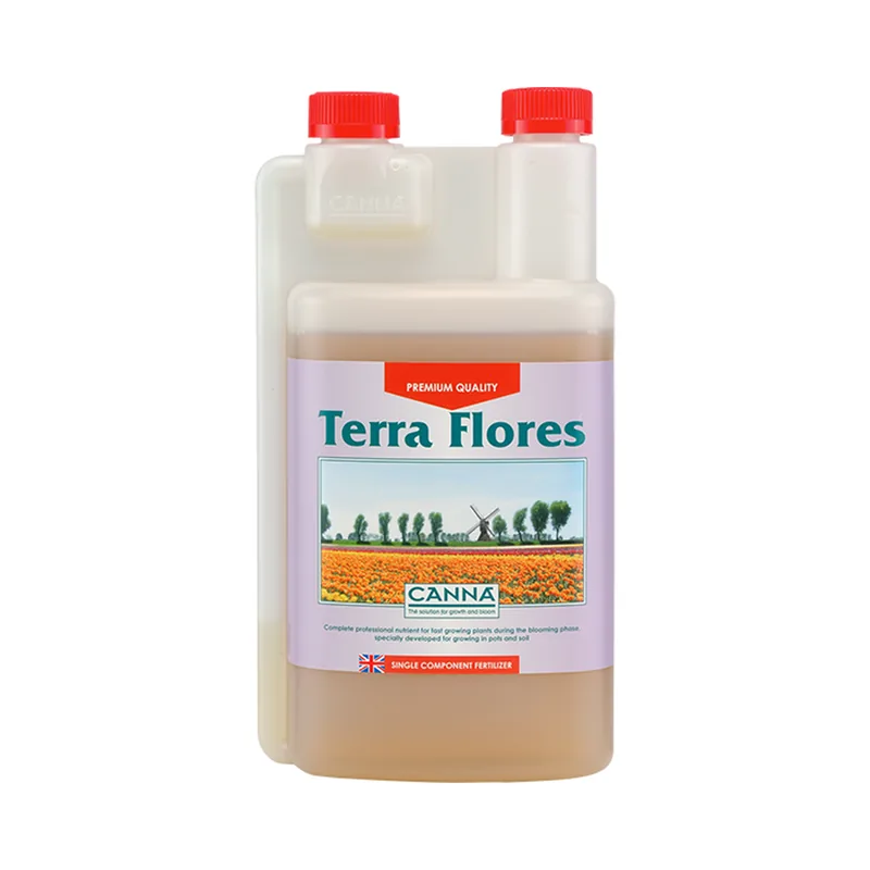 Terra Flores, Canna